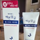 사계절약국 이미지