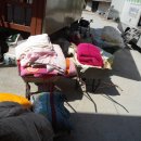 차평1리 이미지