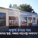 청춘이발소