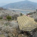 청매실농원 이미지