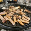돼지백(돼지's back)