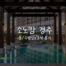 대명마트 | 경주]경주 숙소추천 리뉴얼된 소노캄 경주::객실, 풀앤스파, 조식 솔직후기(구. 소노벨 경주, 경주대명)