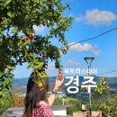 북토리스테이 이미지