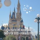 주식회사메인스트리트 | 도쿄 디즈니랜드 DPA/SP 티켓 총정리｜현장구매 방법•실패없는 꿀팁•추천 놀이기구•실제구매후기