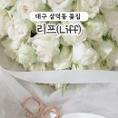 이든네이처(창원반지) | 대구웨딩촬영부케 대구 삼덕동 리프꽃집(Liff)