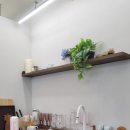 푸바오애견 이미지