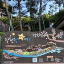 별빛산장 | 울산 울주군 작천정별빛야영장 작괘천오토캠핑장 5번 사이트 후기