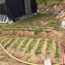 해밀계곡농장 이미지