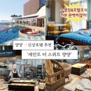 쓰리짐S | 양양 숙소 | ‘세인트 더 스위트 양양’ 솔직후기 🌊 전객실신상 스위트룸, 조식 쓰리버즈, 주차