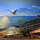 계룡산자연사박물관 이미지