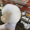 몽트라슈 이미지