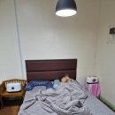 (주)헬로우투어