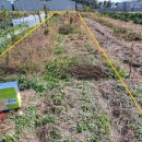 구산농장 이미지