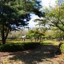 화랑유원지_경기도미술관주변 이미지