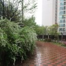 두배로공인중개사사무소 이미지