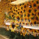 도깨비PC방 이미지