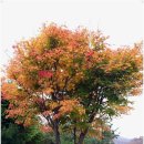 지리산휴게소 이미지