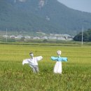 산들녁