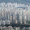 부동산권리분석과 경매 이미지