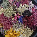 차만들기 | 당진에서 백화차 꽃차 만들기 수업 후기 꽃차 종류