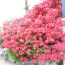 수석모텔 이미지