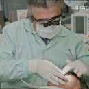 연세그린치과의원 이미지