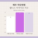 씨유 제주열린점 | 제주 온수 풀빌라 독채 숙소, 자단연원 후기 (수영장, 바베큐, 다도)