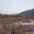 송전게이트볼장 이미지