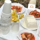 동아리마트 | [N돌핀] 농협은행 N돌핀 활동 후기