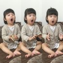 옹진해머금 이미지