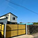 노랑제주 이미지