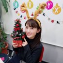 스와 이미지