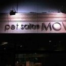 펫살롱모우 이미지