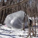 2018년1월7일----제1차 거북이산우회 정기산행 대관령/선자령(1,157m)원점산행 이미지