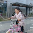 4세 유아자전거 14인치 스토이 4살 네발자전거 추천