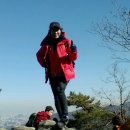 관악산지킴이 Daum카페
