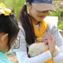 대원 양봉원 이미지