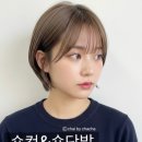 이철헤어커커범계점 네이버블로그