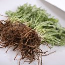 민들래농원 이미지