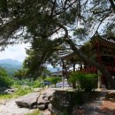 황석산장식당 네이버블로그