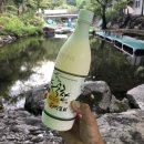 용소산장 | 광주 근교 담양 용소산장 방문 후기