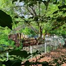 영월천문대 캠핑장 이미지