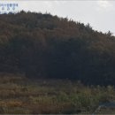 남면목장 네이버블로그