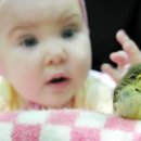 동물들의세상 이미지