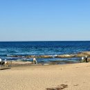 송지호 해수욕장 이미지