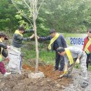 오도미 경관 숲 이미지