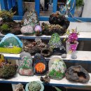 드림 팬션 이미지