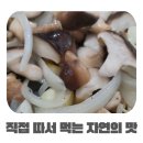 드림농장 | 집에서 버섯키우기 시작, 충북진천 진천드림버섯농장 표고버섯키우기 체험 후기