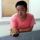 큰마을 농장 이미지