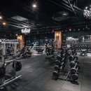 브랜뉴핏 골프 이미지